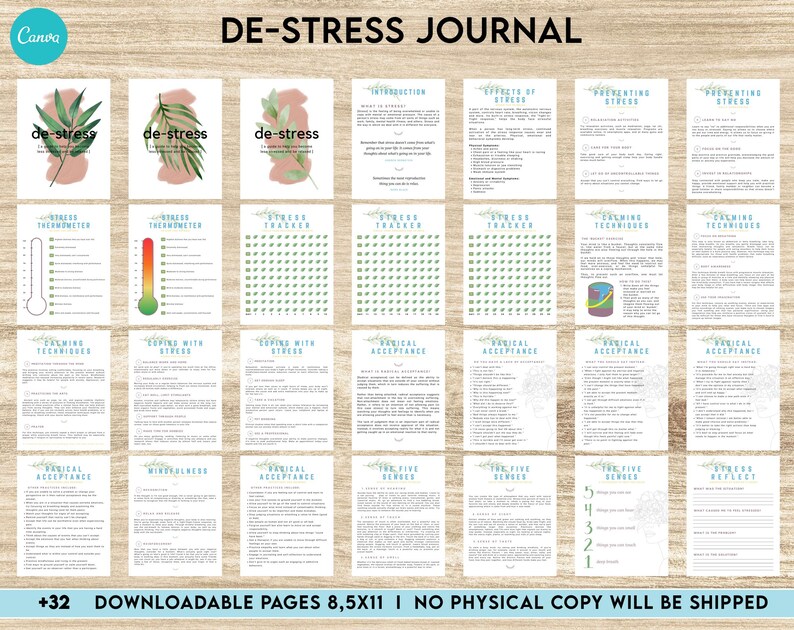 May include: A printable de-stress journal with 32 pages, featuring a green and blue color scheme with floral illustrations. The journal includes sections on stress management, coping techniques, and mindfulness.