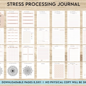 Stress Processing Journal Pages for daily self care, mental health, and emotion list with breakdown worksheets,  8,5x11&quot; PDF FILE Printable