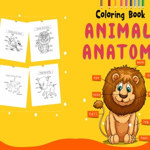 Animal anatomy Activity book PDF File 8.5x11 inch For Kids aged 2-4 4-8, KDP interior Ready To Upload COMMERCIAL Use
