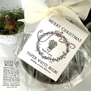 Etiquettes imprimables Joyeux Noël / Joyeuses fêtes pour cadeaux ampoule Paperwhite