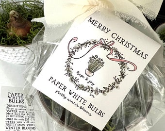 Printable Merry Christmas / Happy Holidays Tags for Paperwhite Bulb gifts