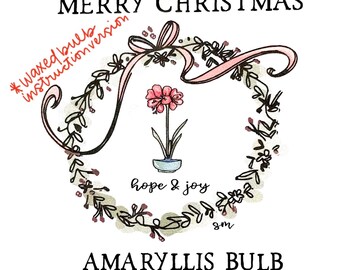 Amaryllis Wax Bulb Gift Tags: Merry Christmas & Happy Holidays (PDF)
