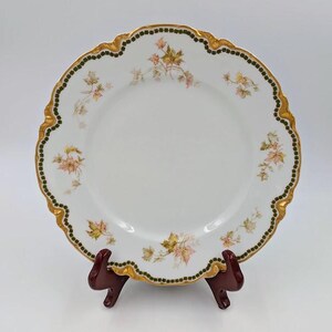 Beautiful Antique French Haviland Limoges Plate