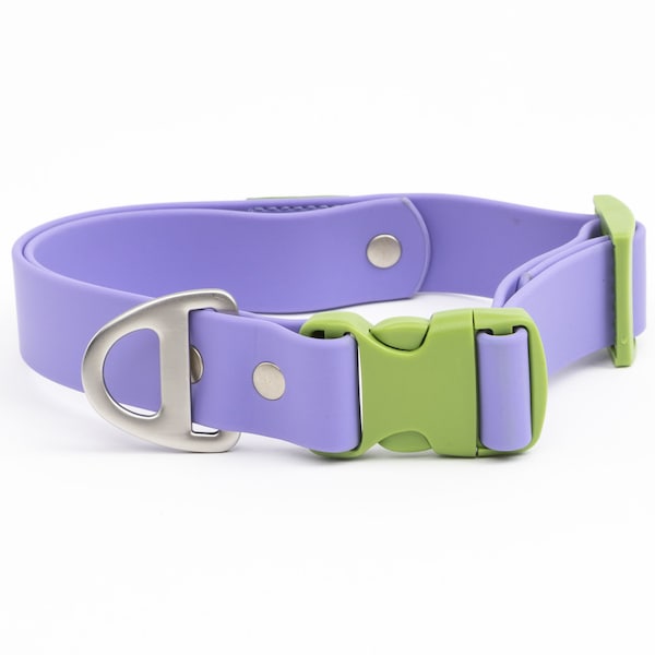 Personalized Lavender Garden Waterproof Dog Collar - Get your dog's name on a trendy, durable collar