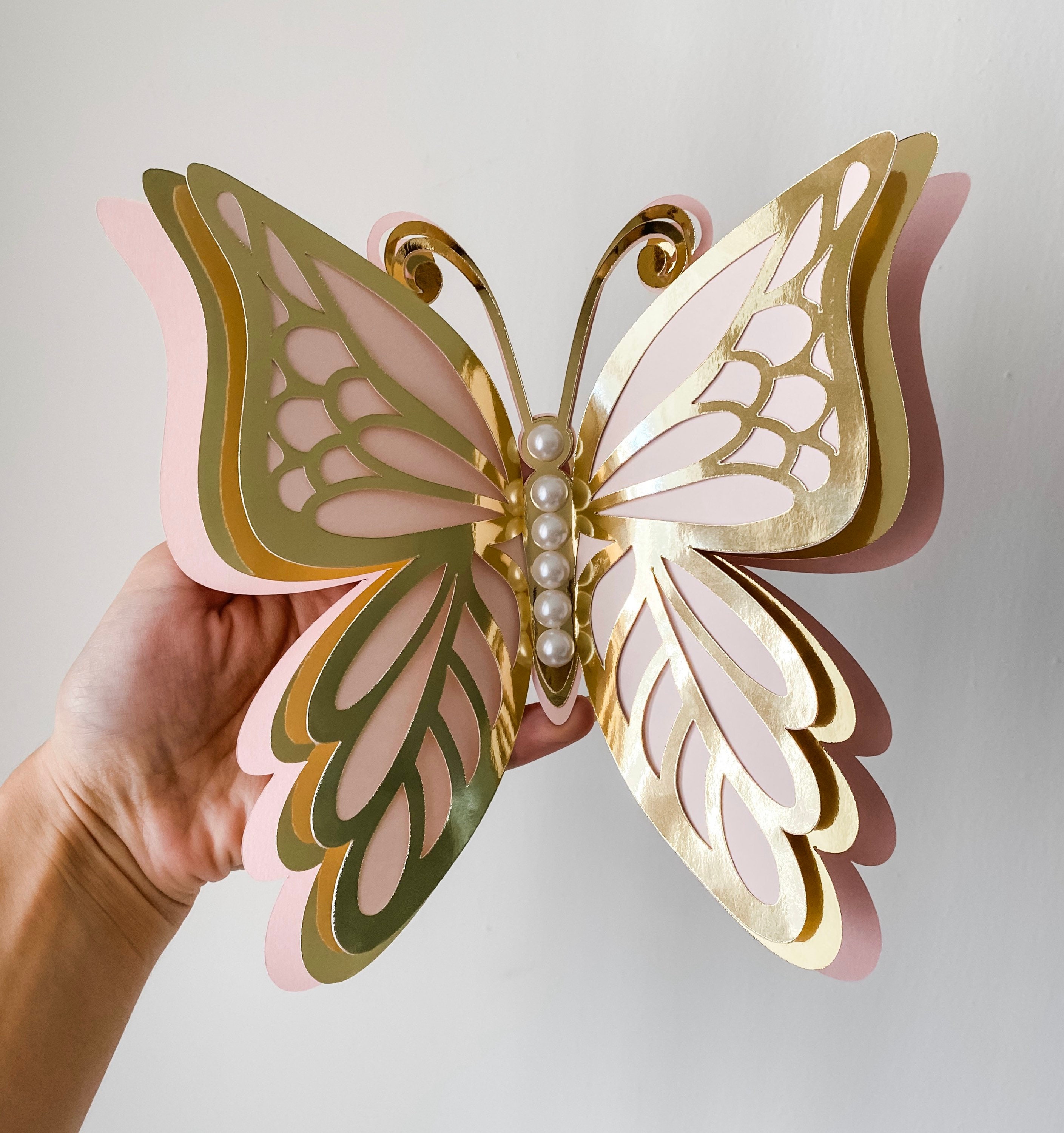 XL 3D butterflies,  butterflies, paper butterflies, butterfly, 3d but…
