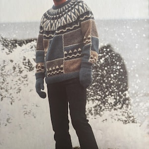 May include: A blue, brown, and white patterned sweater with a crew neck. The sweater has a geometric design and is worn by a person standing in front of a snowy background.