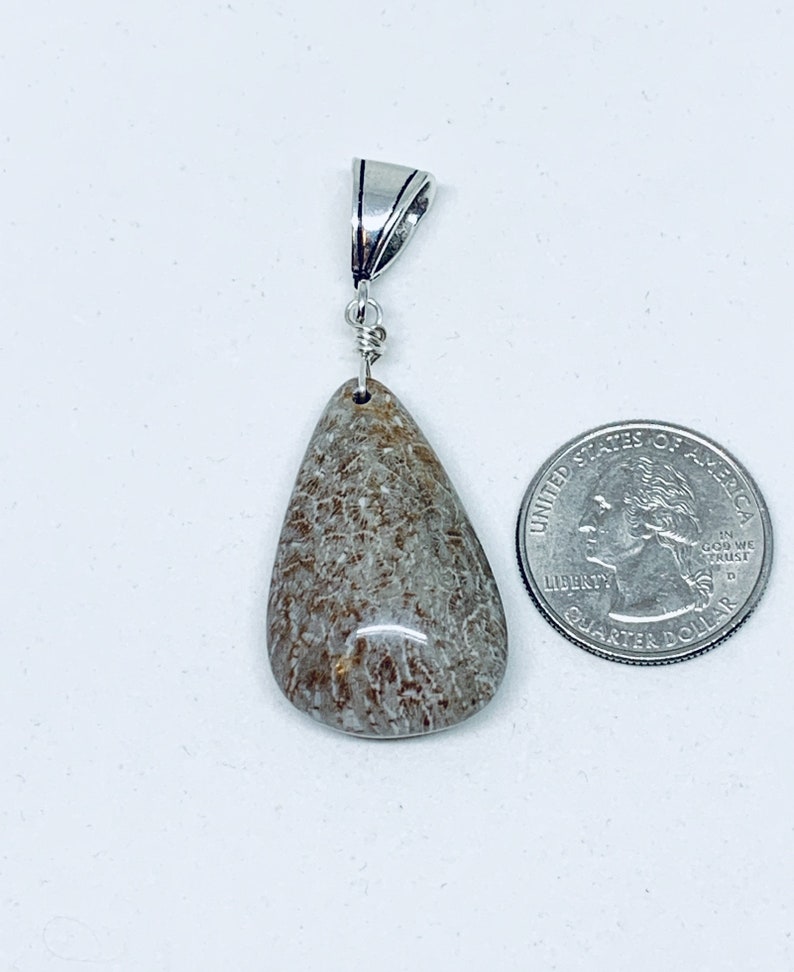 brown stone teardrop jewelry gemstone pendant Fossil coral free form 925 pendant