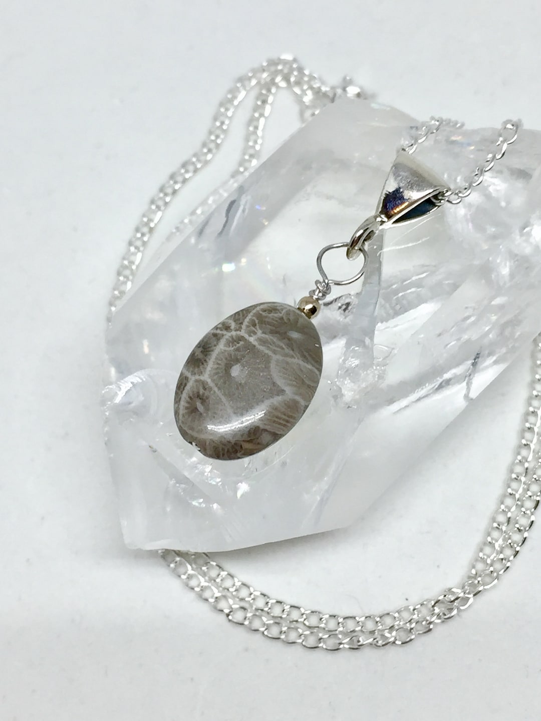 •FOSSILIZED CORAL OVAL• sterling silver pendant