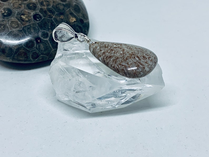 brown stone teardrop jewelry gemstone pendant Fossil coral free form 925 pendant