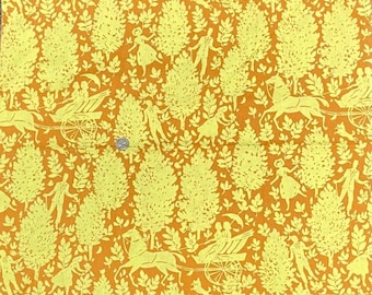 OOP! CAMEO Yardage by Amy Butler for Westminster Fibers