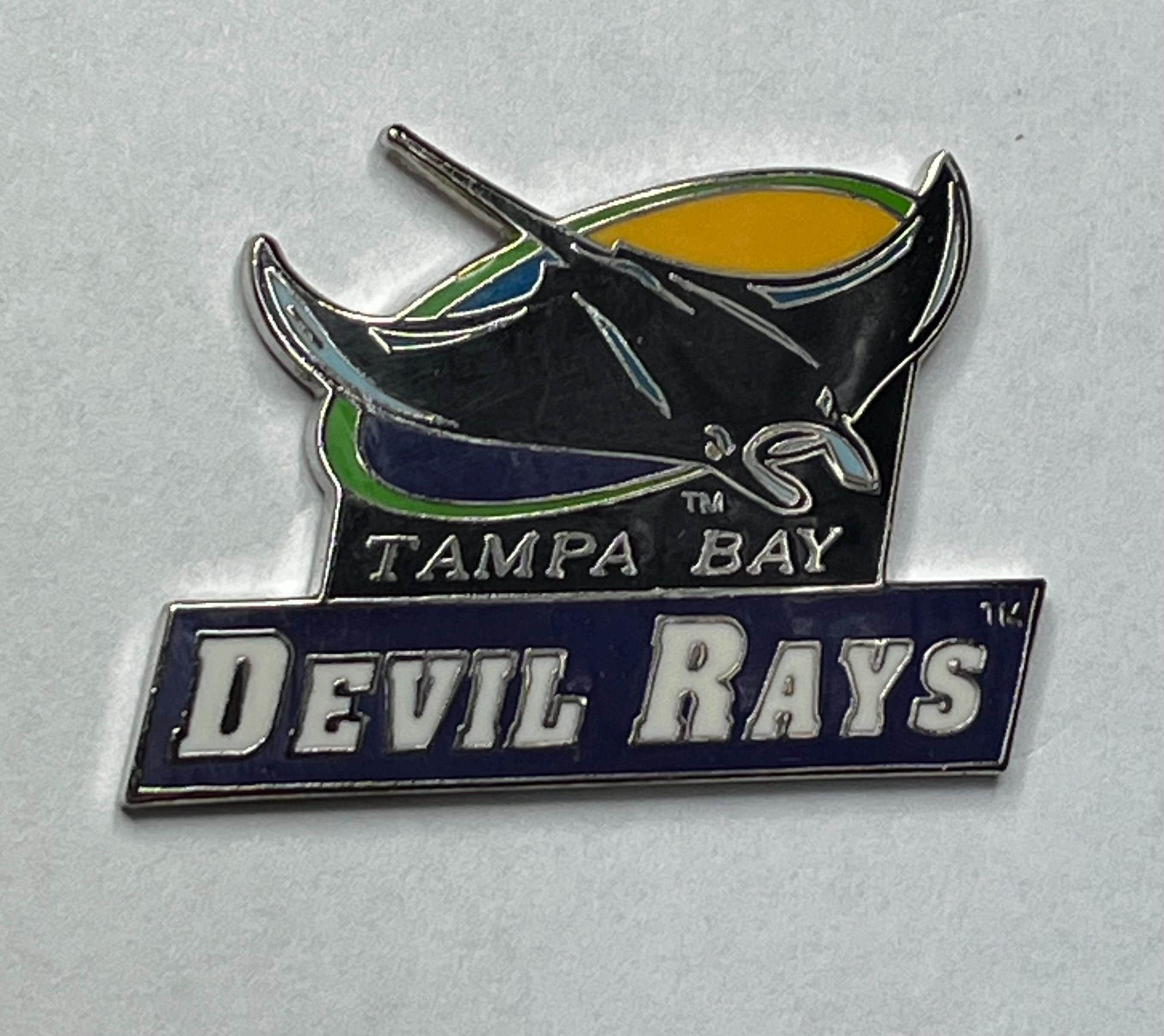 Tampa Bay Devil Rays Lapel Pin ~ MLB ~ Baseball ~ Vintage 1995 by