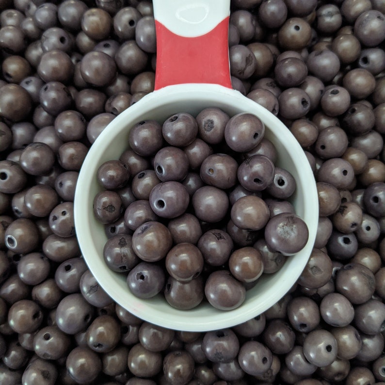 Acai Nut Round Beads 810mm Grey Acai Palm Tree Seed Beads Etsy