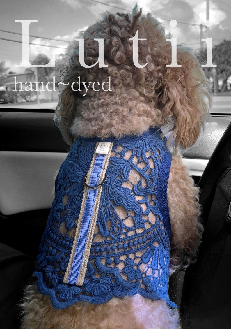 Dog Harness Blue Lace Harness Vest Harness Dog Clothing Cat Etsy
