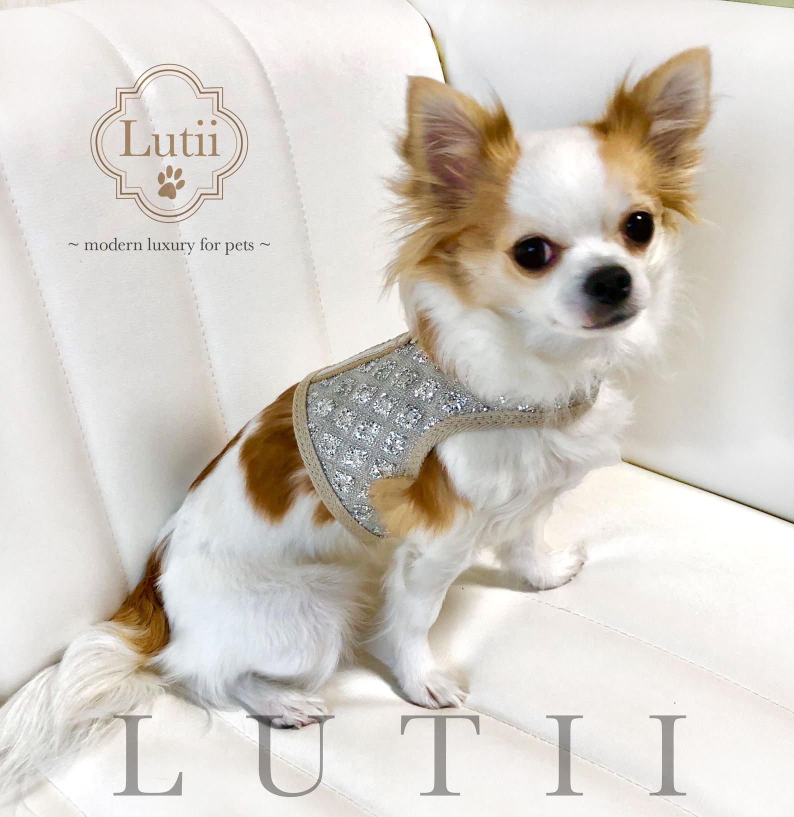 Small dog harness adjustable best dog vest harness chihuahua Etsy