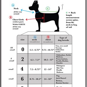 K&ouml;nnte beinhalten: Eine Gr&ouml;&szlig;entabelle f&uuml;r Hundebekleidung mit einer schwarzen Silhouette eines Hundes, die zeigt, wo man Hals, Brust und R&uuml;ckenl&auml;nge misst. Die Tabelle umfasst die Gr&ouml;&szlig;en 0, 2, 4, 6, 8 und 10 mit den entsprechenden Ma&szlig;en in Zoll f&uuml;r den Hals- und Brustumfang. Die Tabelle listet auch g&auml;ngige Hunderassen f&uuml;r jede Gr&ouml;&szlig;e auf.