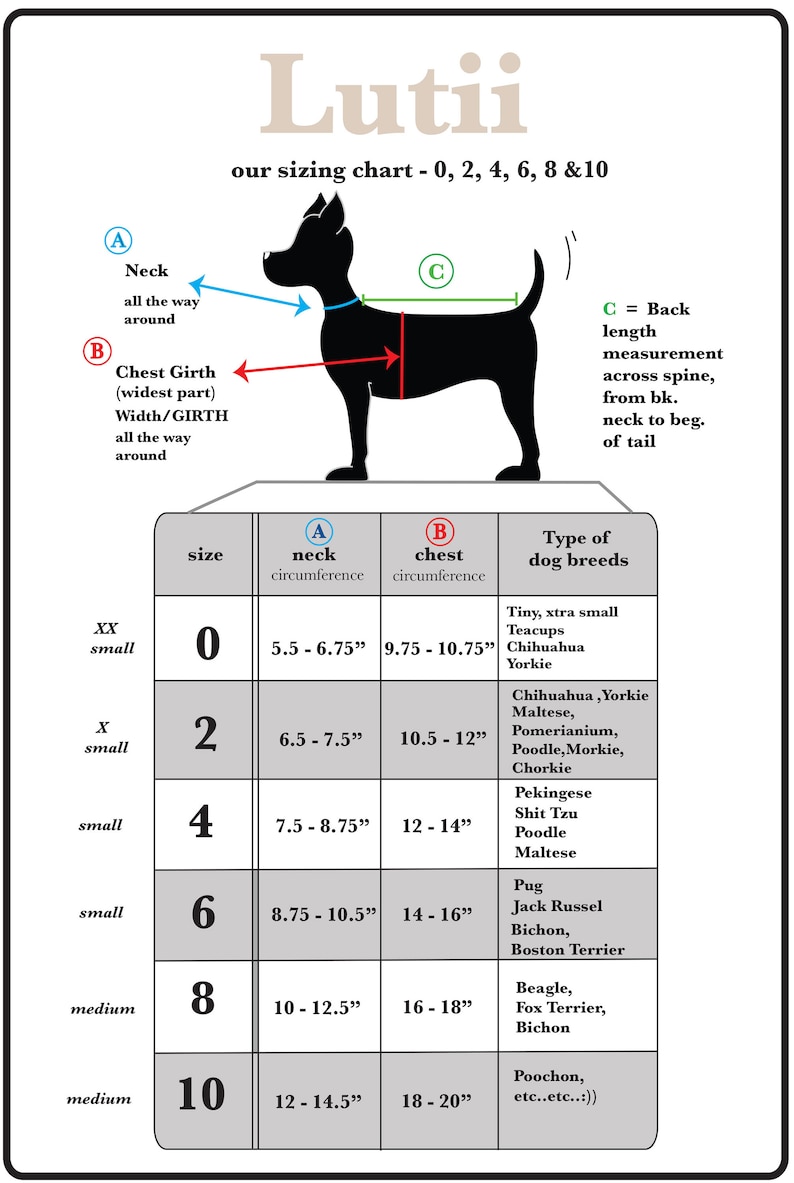 K&ouml;nnte beinhalten: Eine Gr&ouml;&szlig;entabelle f&uuml;r Hundebekleidung mit einer schwarzen Silhouette eines Hundes, die zeigt, wo man Hals, Brust und R&uuml;ckenl&auml;nge misst. Die Tabelle umfasst die Gr&ouml;&szlig;en 0, 2, 4, 6, 8 und 10 mit den entsprechenden Ma&szlig;en in Zoll f&uuml;r den Hals- und Brustumfang. Die Tabelle listet auch g&auml;ngige Hunderassen f&uuml;r jede Gr&ouml;&szlig;e auf.