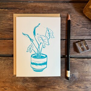 Planta de punta de flecha / Tarjeta de felicitación / Conjunto de tarjetas de notas en blanco hechas a mano