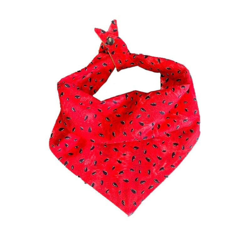 Watermelon Reversible Dog Bandana