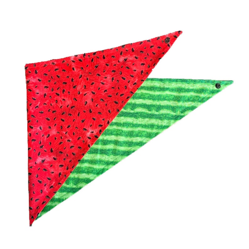 Watermelon Reversible Dog Bandana