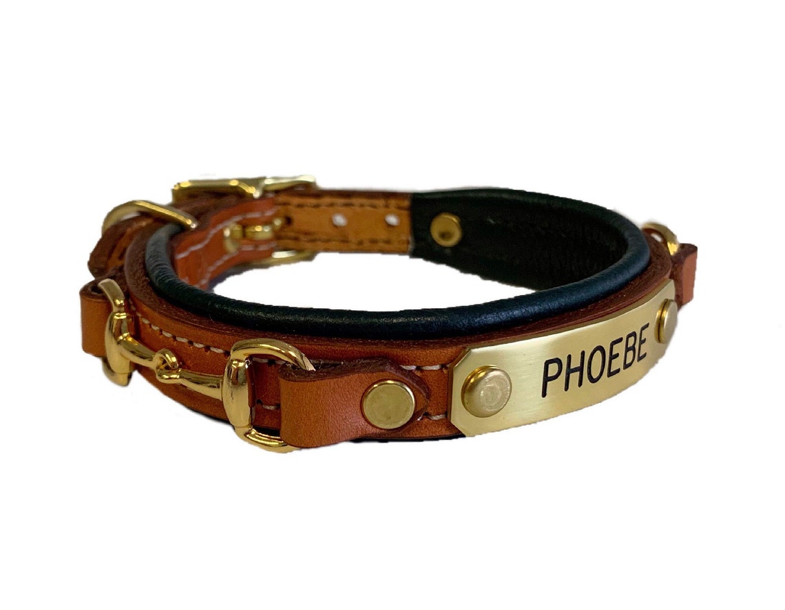 Personalized Padded Leather Dog Collar With Brass Bits and Etsy