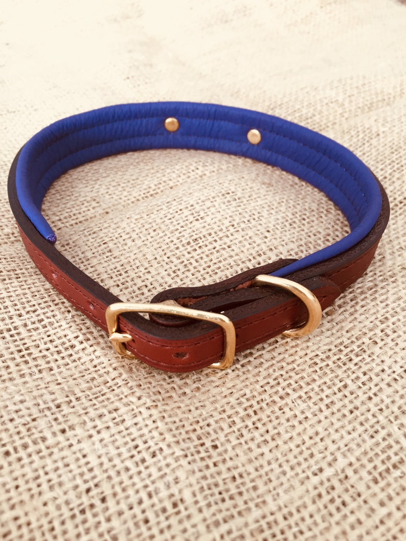Personalized Padded Leather Dog Collar with Brass Nameplate Etsy