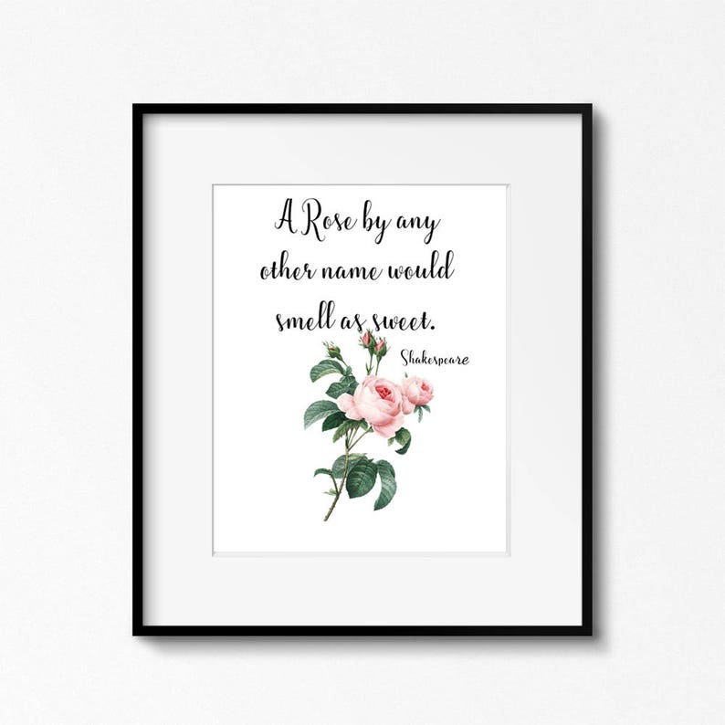 A Rose by Any Other Name Would Smell as Sweet, Shakespeare Quote, Classical Literature Instant