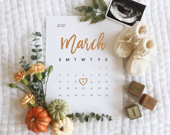 Edit-yourself Fall Pregnancy Announcement for Social Media, Pumpkin Baby Announcement, Birth Announcement instant download