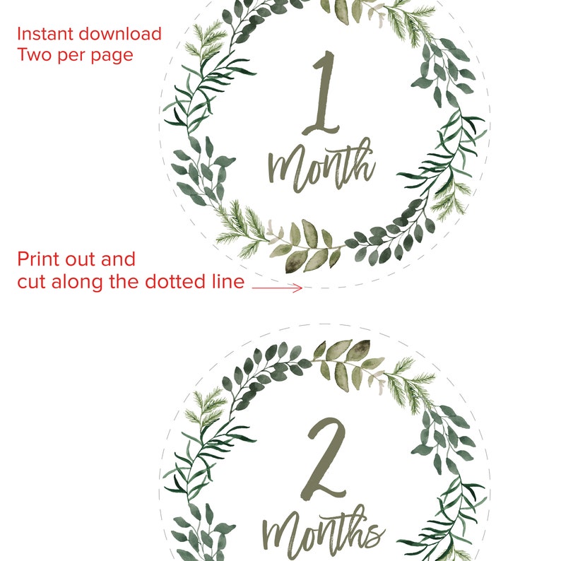 Baby Milestone Cards, Instant Download, Gender Neutral Milestone Cards ...