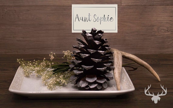 Pine Cone Wedding Decor Silver Etsy