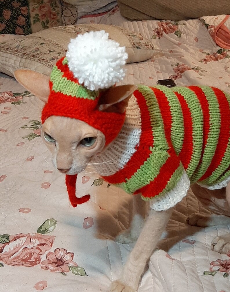 Chapeau de chat de Noël chapeau de chat chapeau tricoté pour - Etsy France