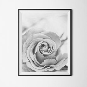 Black and White Rose Print, Rose Wall Art, Photo Prints, Black and White Photography Prints, Floral Print, Black and White Dorm Decor, Print