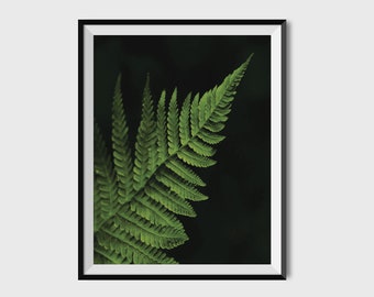 Botanical Wall Art, Fern Print, Botanical Print, Fern Art, Plant Print, Housewarming Gift, Greenery Decor, Fern Download, Fern Digital Print