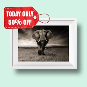 Elephant Photo Print, Minimalist Art, Elephant Photography, African Wall Decor, African Art Print, Black and White Prints, African Wall Art