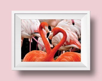 Flamingo Party, Flamingo Decor, Flamingo Party Decor, Flamingo Print, Dorm Room Decor, Flamingo Art, Flamingo Wall Art, Tropical Flamingo