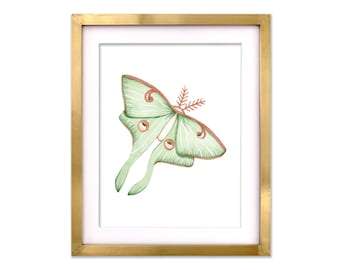 Luna Moth Art | Whimsical Nursery Art | Sweet Luna Moth Painting | Luna Moth Print