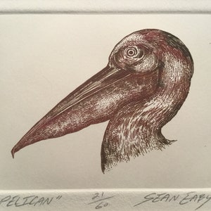 May include: A brown and white detailed line drawing of a pelican's head and neck. The artwork is titled "PELICAN" and signed "SEAN EADY" with the number "21/60" below the title.