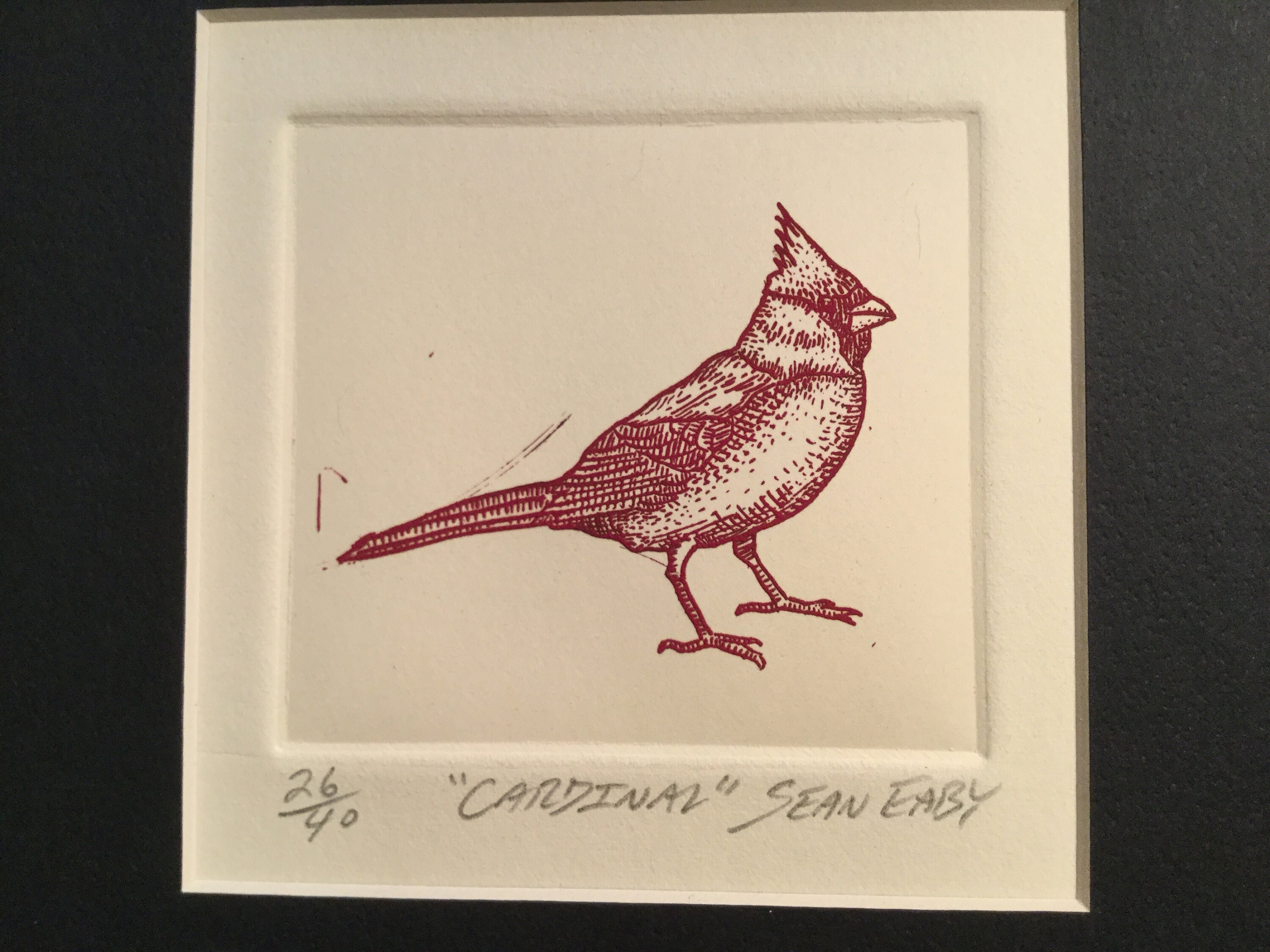Cardinal Etching by Sean Eaby - Etsy