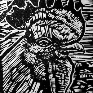 May include: Black and white woodcut print of a rooster's head. The rooster's eye is visible, and the beak is open. The background is a dark, textured surface.