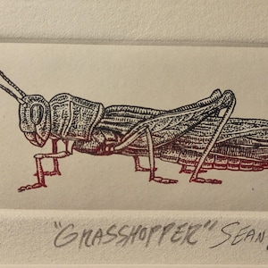 May include: A black and red ink drawing of a grasshopper on a cream-colored background. The drawing is titled "Grasshopper" and signed "Sean Eaby". The number "15/60" is written in the bottom left corner.