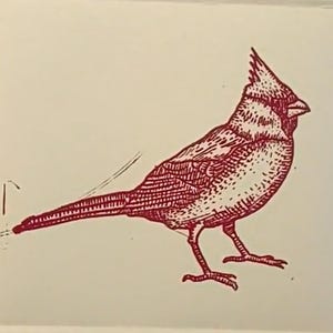 May include: A red cardinal bird with a long, pointed beak and a crest on its head. The bird is drawn in a detailed, hatched style.