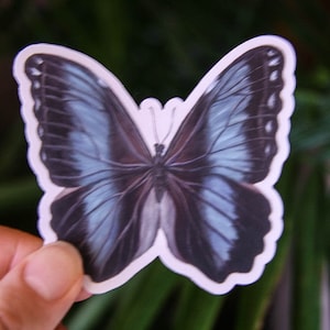 Adesivo de borboleta Morpho - Adesivos de arte - Adesivos de borboleta azul - Adesivo para laptop - Adesivo para garrafa de água - Adesivo Boho - Adesivo de vinil