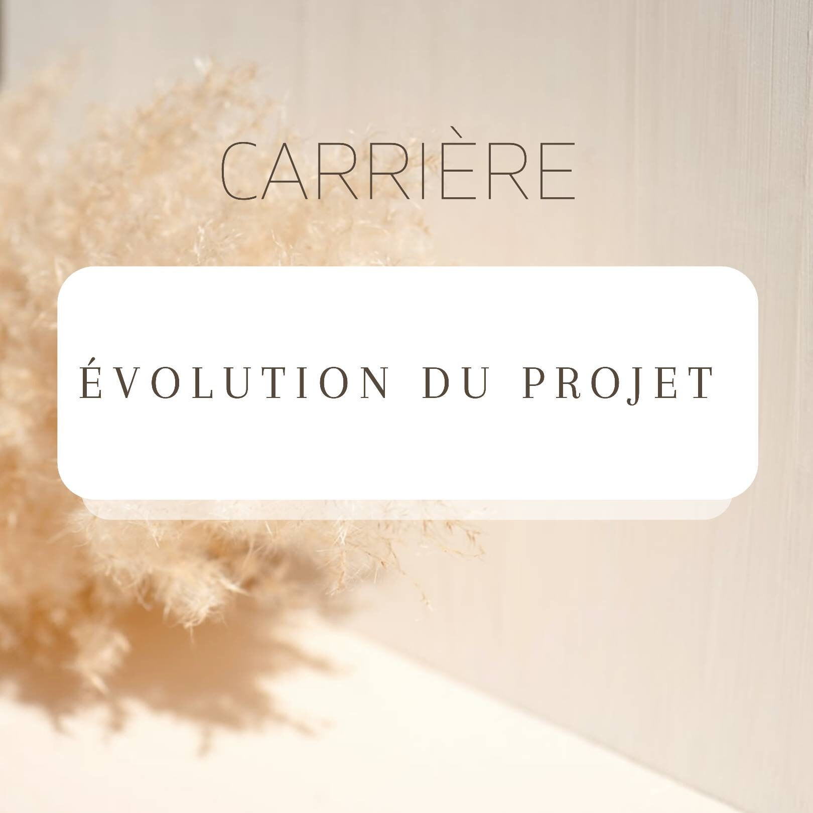 Carrière - Évolution Du Projet. Tirage Spécial