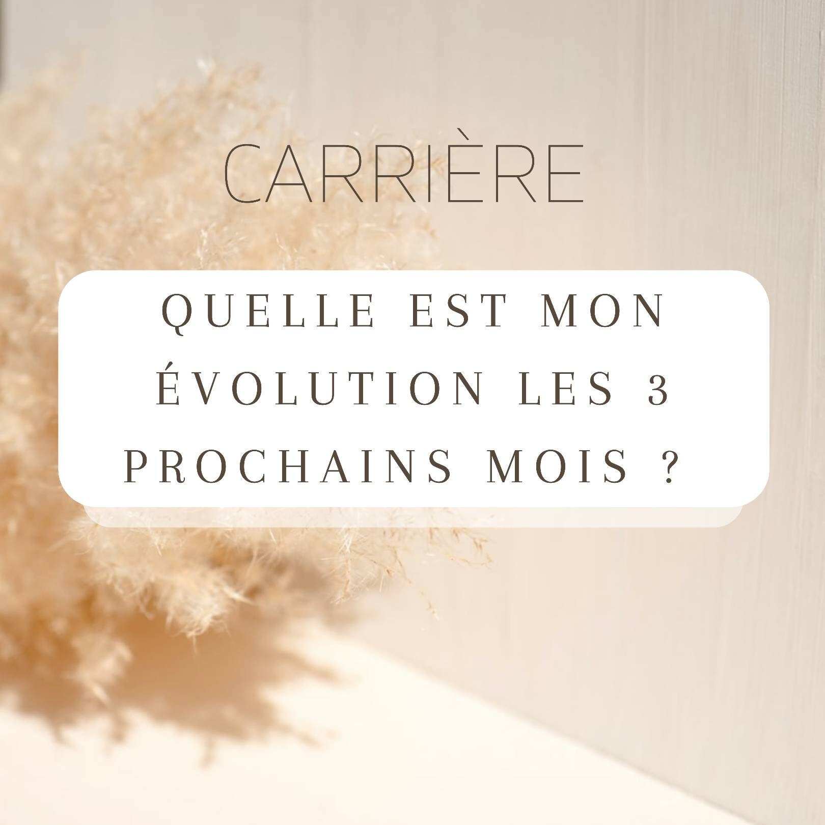 Carrière - Qu'elle Est L'évolution Les 3 Prochains Mois. Tirage Approfondi