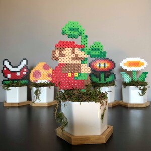 Plante pot Mario Bros Nintendo Decor Fleur Champignon Perler Beads Pixel art image 1