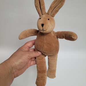 May include: A plush brown bunny with long ears, outstretched arms, and stitched facial features. The stuffed animal is made of soft material and has a simple, friendly design. The bunny is held against a plain white background.