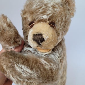 May include: A vintage teddy bear with light brown fur and a darker brown snout. The bear has small, dark eyes and a tan-colored muzzle. Its fur has a soft, textured appearance, suggesting it is well-loved.