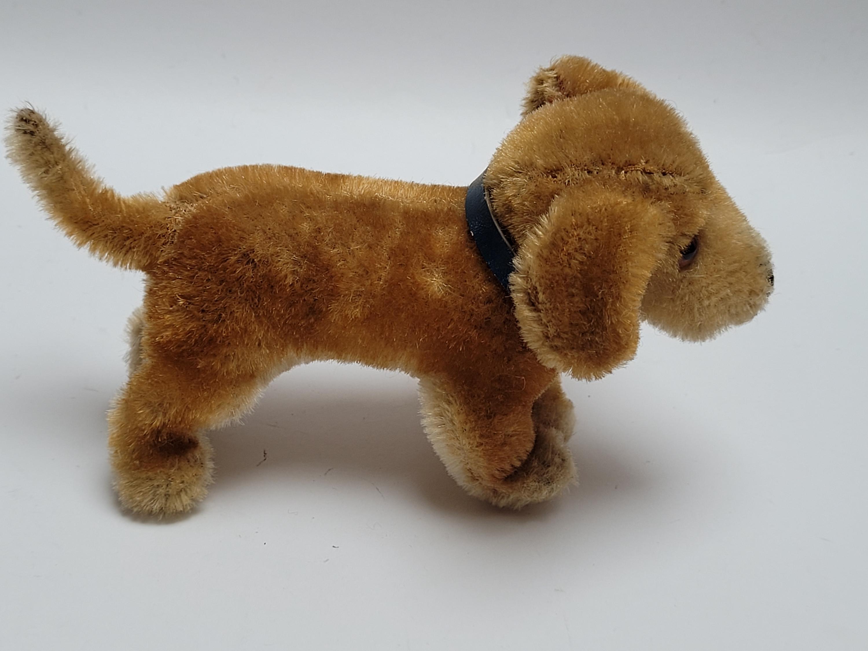 Steiff Bazi Dog Jung Dackel Dachshund Puppie Mohair Plush 3 1/2