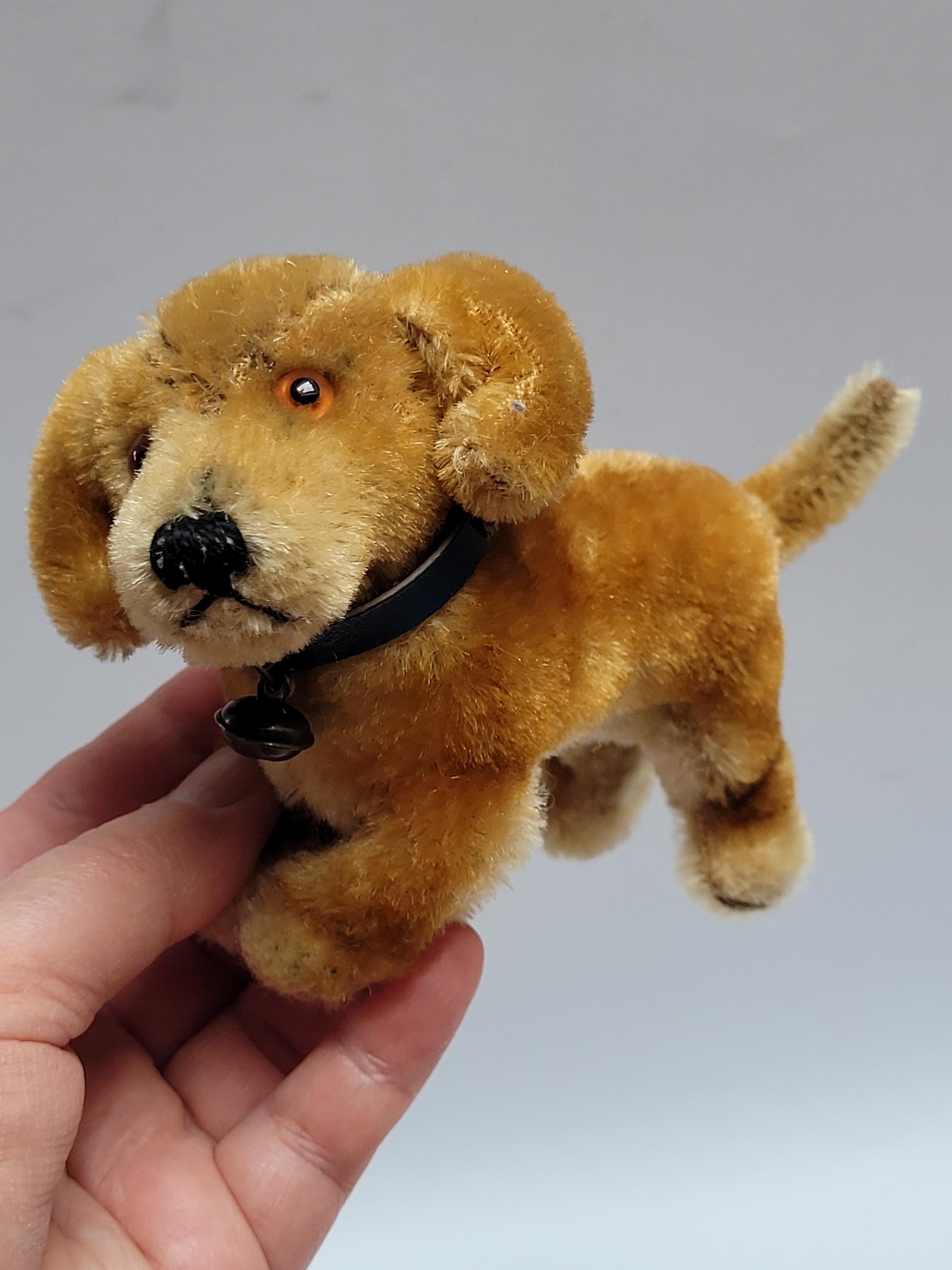 Steiff Bazi Dog Jung Dackel Dachshund Puppie Mohair Plush 3 1/2