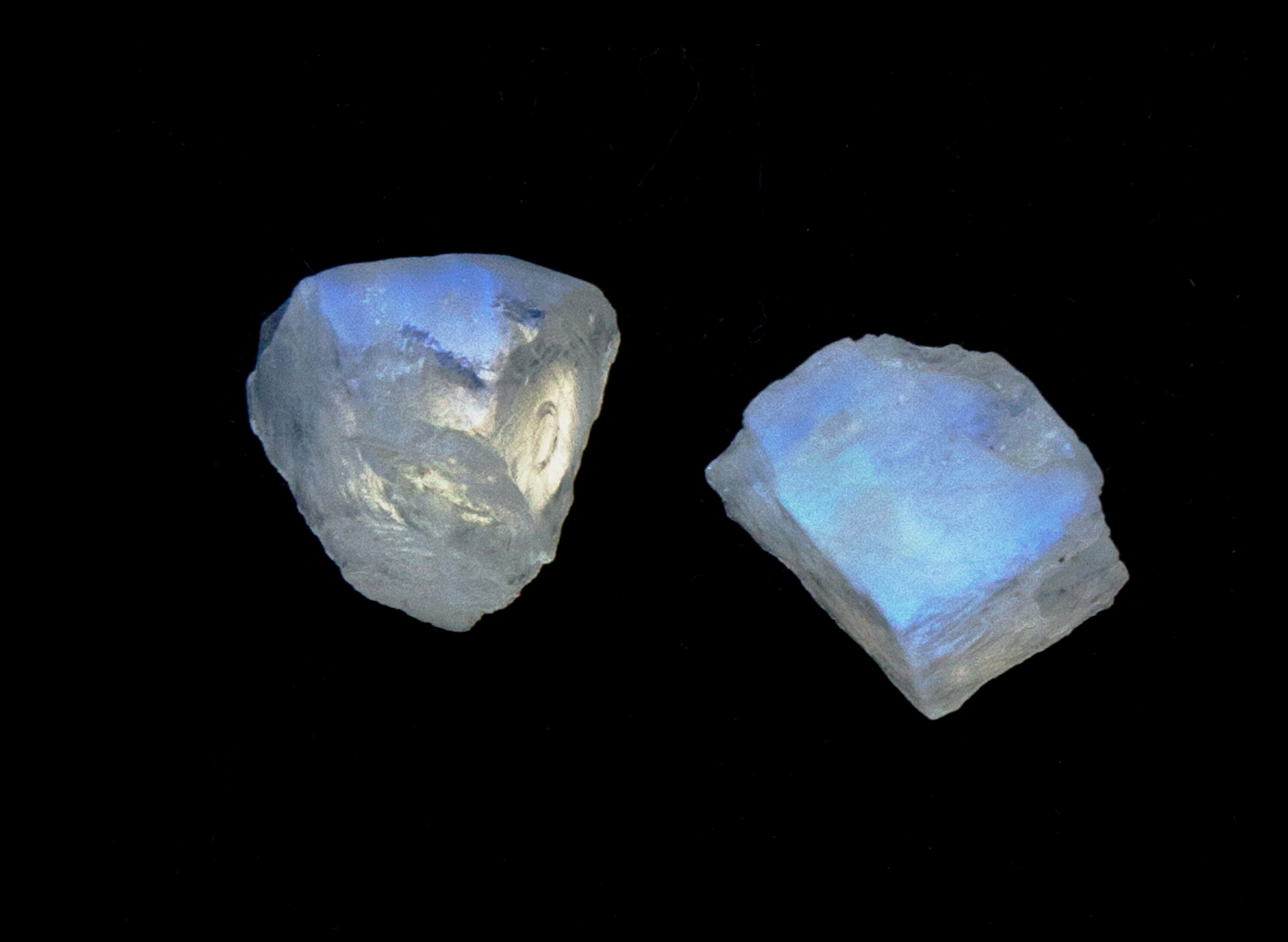 Sri Lankan Moonstone on .925 sterling silver studs Etsy