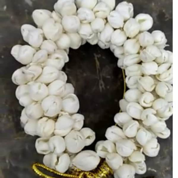 Jasmine flower reusable Hair Gajra (off white, NOT pure white)